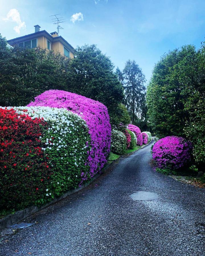 La Mia Casa Sul Lago Con Vista Mozzafiato Belgirate Exterior foto